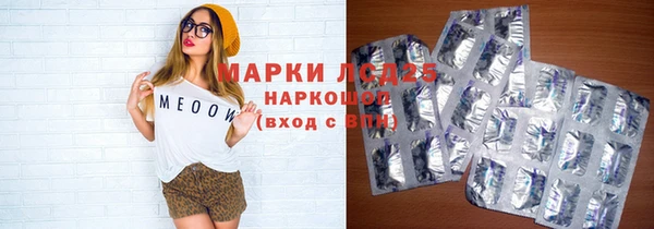 индика Саяногорск