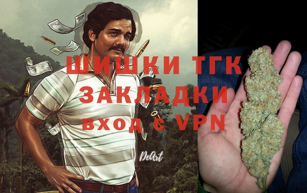 дживик Сатка
