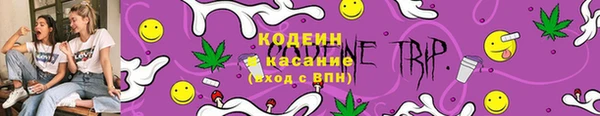 индика Саяногорск
