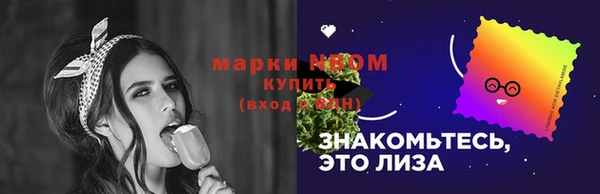 индика Саяногорск