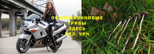 ECSTASY Абинск