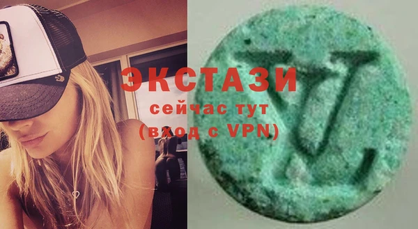 индика Саяногорск