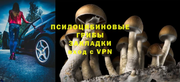 ECSTASY Абинск